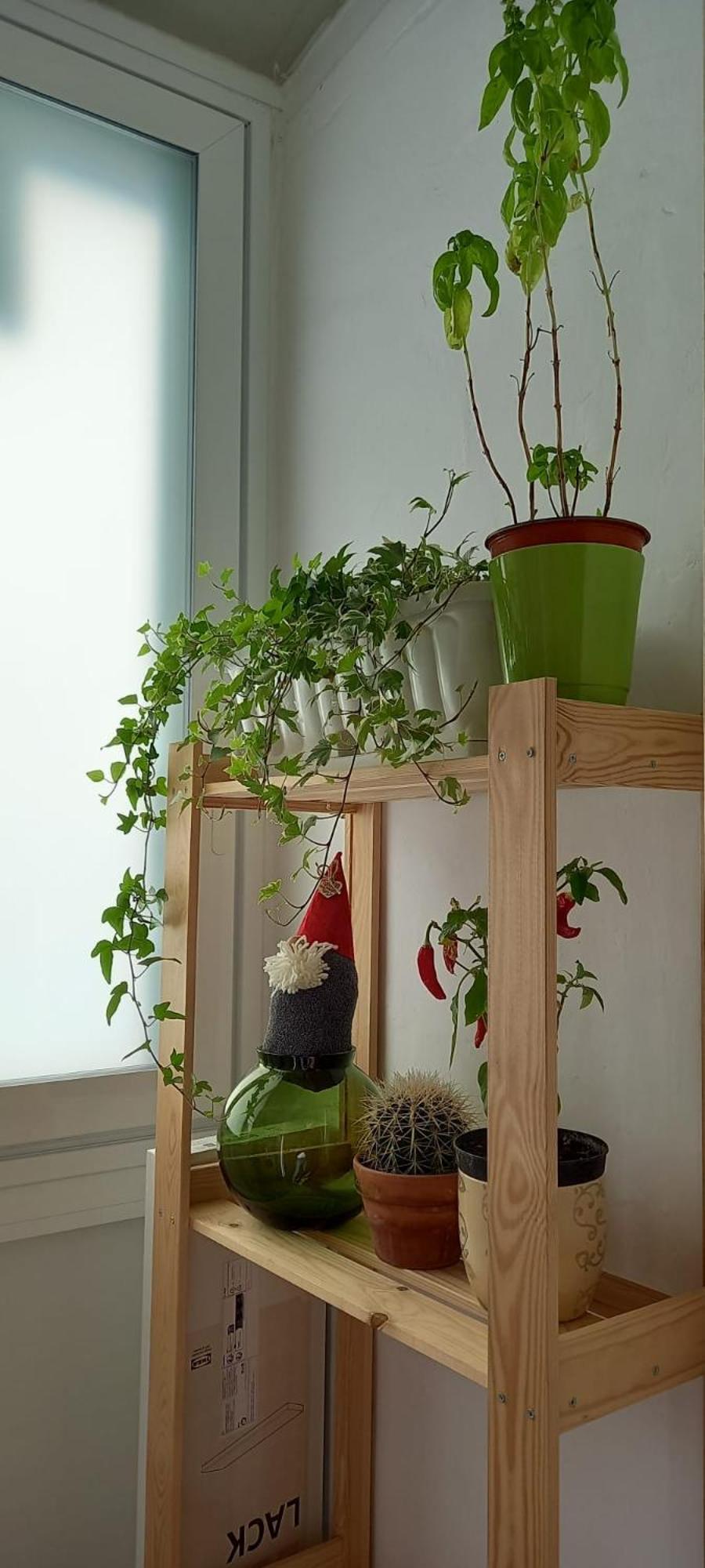 Lotus Appartement Bari Buitenkant foto